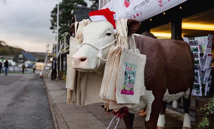 Royal Welsh Winter Fair
